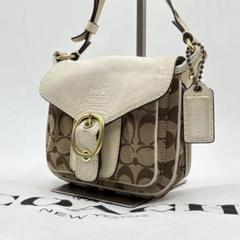 希少色/美品✨COACH ショルダーバッグ ソーホー マルチカラー シグネチャー 2025年最新】コーチ coach ソーホーの人気アイテム - メルカリ