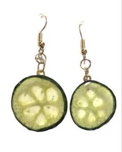 本物のきゅうり　丸ごと　ピアス　金具変更◯ 押し野菜