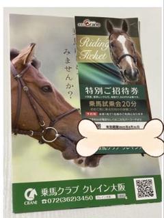 TK　クレイン乗馬クラブ　ジュニア会員騎乗回数券 2025年最新】乗馬 クレイン チケットの人気アイテム - メルカリ