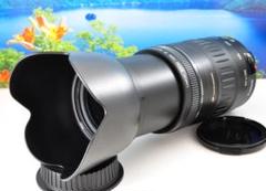 2025年最新】canon ef 90-300の人気アイテム - メルカリ