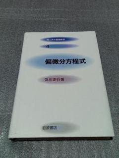 偏微分方程式 (理工系の基礎数学 4)