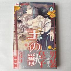 王の獣 6