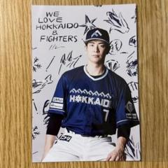 日ハムパーカー　松本剛選手　Lサイズ FIGHTERS 松本剛選手 フーディー Lサイズ 黒白