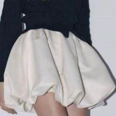 THETOE VENICE balloon skirt S - メルカリ