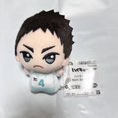 ハイキュー !! ちびぐるみvol.1 及川徹 岩泉一 2種セット ハイキュー !! ちびぐるみvol.1 及川徹 岩泉一 2種セット