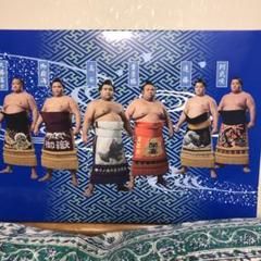大相撲若手人気力士バスタオル 読売新聞