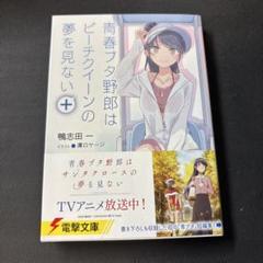 青春ブタ野郎はビーチクイーンの夢を見ない+