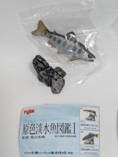 2025年最新】イワナ フィギュアの人気アイテム - メルカリ