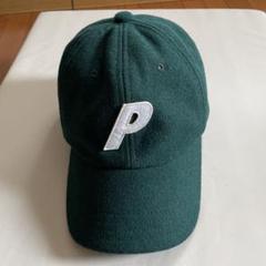 レア】PALACE（パレス) X ハリストウィード 6パネル