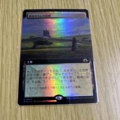 2025年最新】フェッチランドの人気アイテム - メルカリ