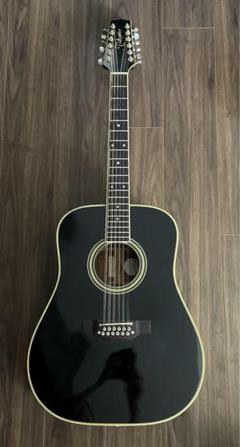 Takamine タカミネ 12弦ギター Amazon.co.jp: Takamine EF381SC BL エレアコギター ワールド