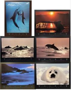 Bob Talbot 80s vintage poster 11種セット Amazon.co.jp: POSTER STOP ONLINE クラシック80年代映画