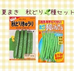 北海道産インゲン 61kP6jISJkL._UF350,350_QL50_.jpg