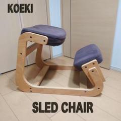 2025年最新】スレッドチェア SLED CHAIRの人気アイテム - メルカリ