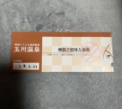 HFD1720 ☆未使用☆ 玉川の湯華 玉川温泉