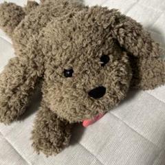 ユーリオンアイス　マッカチン 1番くじ ぬいぐるみ