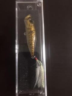 Amazon.co.jp: 金森良泰 「瑞鳥華」 フレスコ画F10号 画面右
