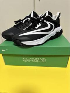 翌日匿名発送　26.5 新品　ナイキ　シューズ　ヤニス NIKE ナイキ バスケットシューズ ジュニア 25S ヤニス