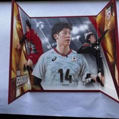 日本代表 バレーボール ミニ屏風 2BOX Byoubu_JVAmen_Box-1024x812.jpg