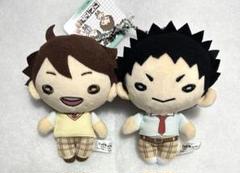 ハイキュー　にとたん　ぬいぐるみ　及川、岩泉 TOHO animation STORE on X: 
