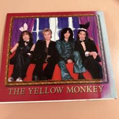 THE YELLOW MONKEY　下敷き　非売品　ファンクラブ イエローモンキー ファンクラブ会報 Petticoat Lane 完全揃い47