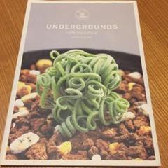 UNDERGROUNDS FUMIO FUJIKAWA