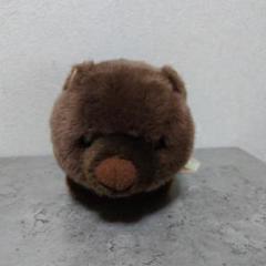 池田市立五月山動物園 ウォンバットぬいぐるみ