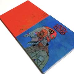 米津玄師 / STRAY SHEEP アートブック盤〈2枚組〉 Blu-ray