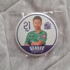 サンフレッチェ広島　蓄光缶バッジ 🏹💜⚽️ coming soon