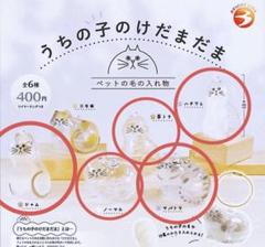 【正規品】うちの子のけだまだま シャム ノーマル サバトラ 茶トラ ハチワレ