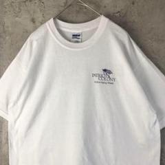 Z2019古着　Tシャツ ホワイト　バックプリント　90s Y2K