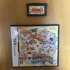 とっとこハム太郎DS ソフト&ゲームボーイアドバンスソフト　2点セット