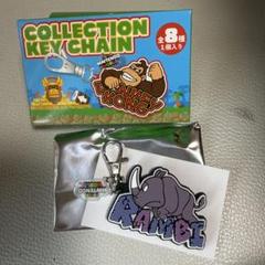 ドンキーコング　キーホルダーなど　まとめ売り　32250430J31S onlineshop-mikaze_usj-nin-