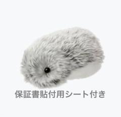 2025年最新】Moflinの人気アイテム - メルカリ