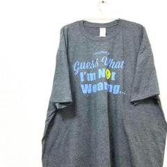 GILDAN ギルダン　ヴィンテージ　メンズ　Tシャツ　グレー　3XL プリント