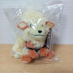 ポケモンセンター　タグ付き　ぬいぐるみ　まとめ売り 全部タグ付き 美品と新品 ポケモン ぬいぐるみ 大量まとめ売り