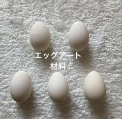 マリーさん専用　エッグアート用たまご　カナダグース マリーさん専用 エッグアート用たまご カナダグース - メルカリ