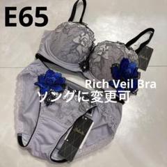 サルート　e65 ノーマルМ　セット　リッチヴェール 2025年最新】サルート リッチヴェール e65の人気アイテム - メルカリ