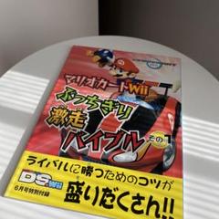 マリオカート 任天堂 ニンテンドー ファミ通DS+Wii カタログ 本 レトロ