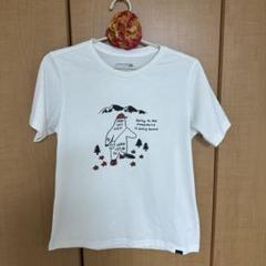 マーモット　レディースTシャツ