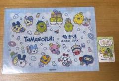 ビバのんのんクリアファイル 特典カード たまごっち×極楽湯