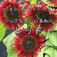 ひまわり◯プロフの一読お願いします すー《プロフ必読》様 リクエスト 3点 まとめ商品 - メルカリ