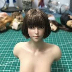 B223 1/6 フィギュア用 ヘッド 植毛タイプ アクセサリー 交換用