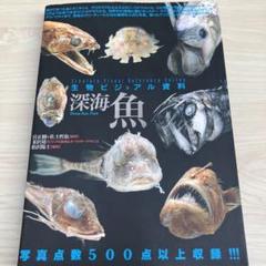 限定10 韮沢靖　直筆サイン入り　複製原画 限定10 韮沢靖 直筆サイン入り 複製原画 その他