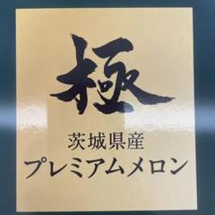 0289糖度18度！茨城県旭村産エルソルメロン極3Lサイズ1箱4玉入り 0289糖度18度！茨城県旭村産エルソルメロン極3Lサイズ1箱