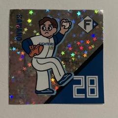 2025年最新】北海道日本ハムファイターズ タイプ：選手 記念