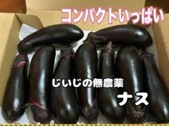 【超メルカリ市開催中！】高知県産ナス　10㎏(Mサイズ 約120本) 2025年最新】茄子の人気アイテム - メルカリ