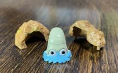 【激レア：新品未開封】立体ポケモン図鑑　オムナイト&オムスター　フィギュア Yahoo!オークション - 立体ポケモン図鑑 オムナイト オムスター