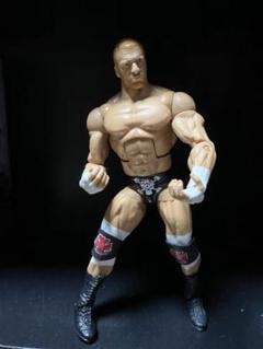 マキシマムアグレッション　トリプルH プロレス　フィギュア　12インチ マキシマムアグレッション トリプルH プロレス フィギュア 12