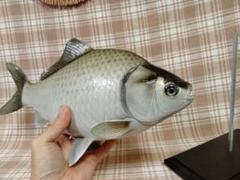 ハンドメイド 38cmヘラブナ へら鮒 魚模型 釣り フィギュア